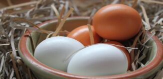 De ce să mâncăm ouă. 5 motive care te vor convinge De ce să mâncăm ouă