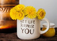 Păpădia. Cum se culege, cum o folosești și ce beneficii are păpădia